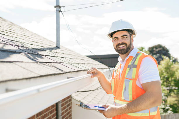 Best Roof Moss and Algae Removal  in Rome, IL
